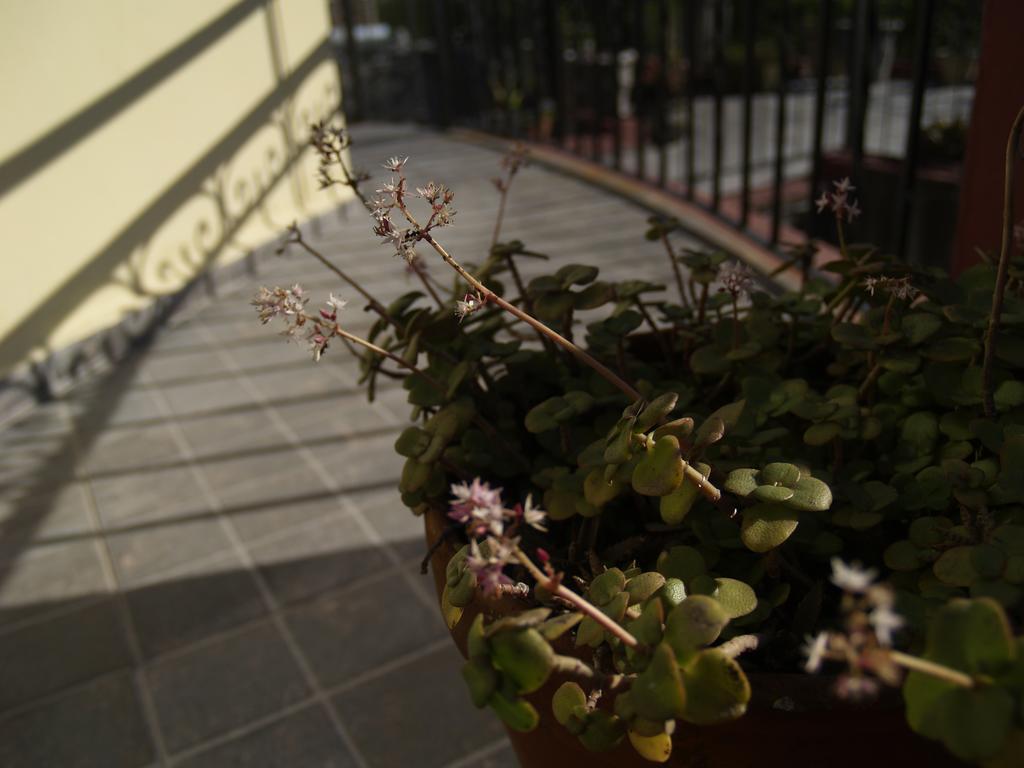 Una Noche Mas B & B Montevideo Exterior photo